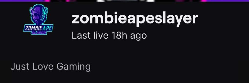 ZombieSlayer154's profile banner image