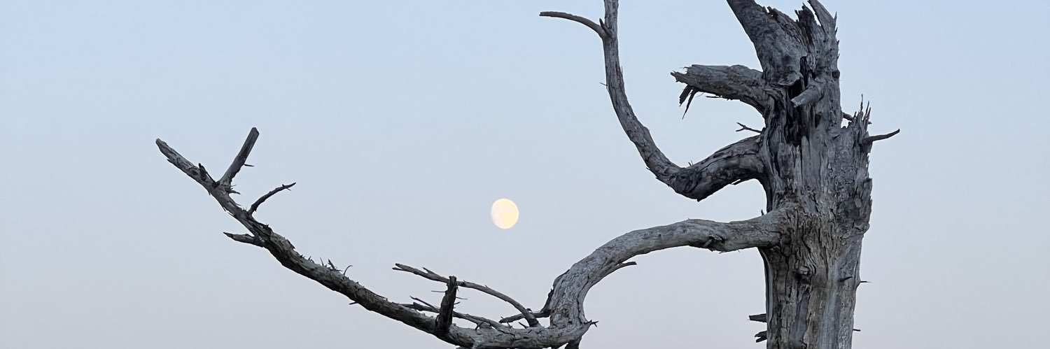 Tyler Longmire banner