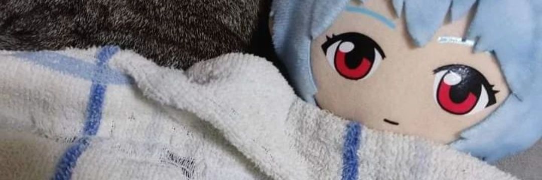soyfer_uu's profile banner image