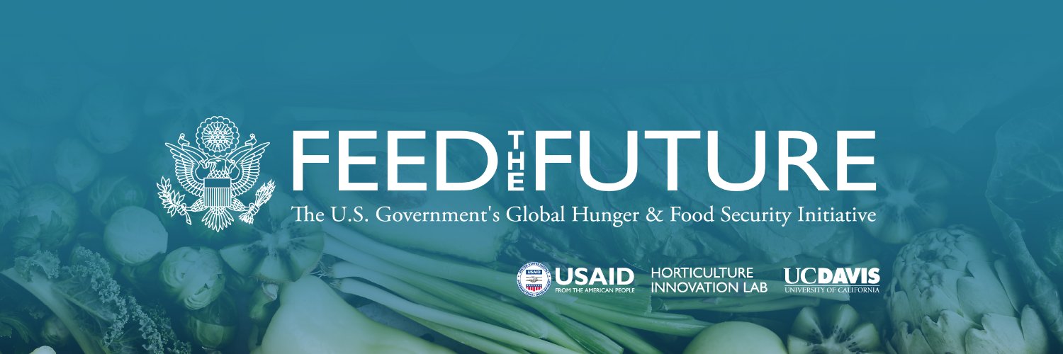 Feed the Future Innovation Lab for Horticulture banner