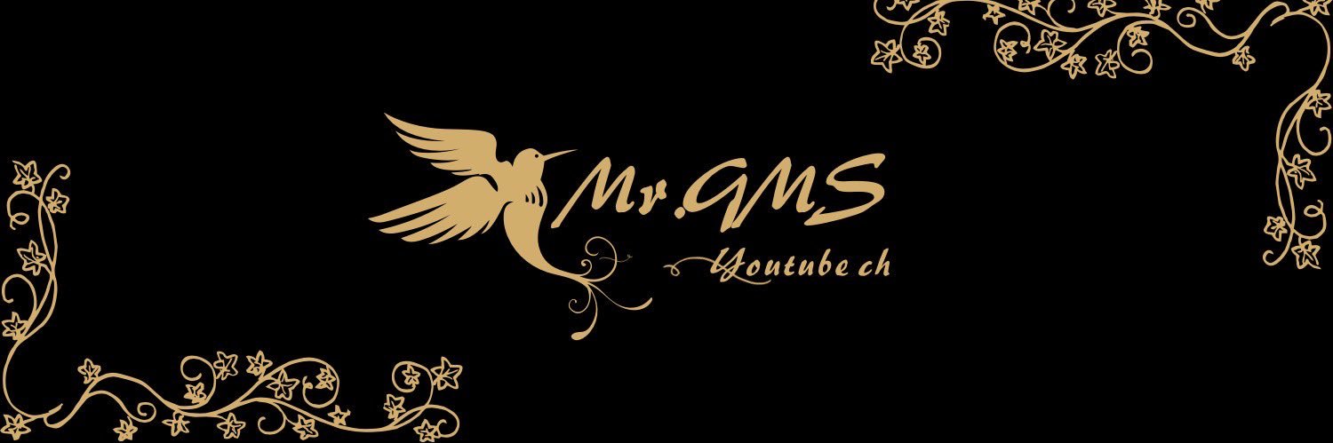 Mr.GMS ガムズ banner