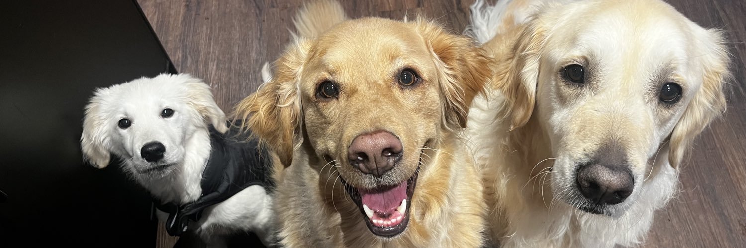 Amy Jefferies banner