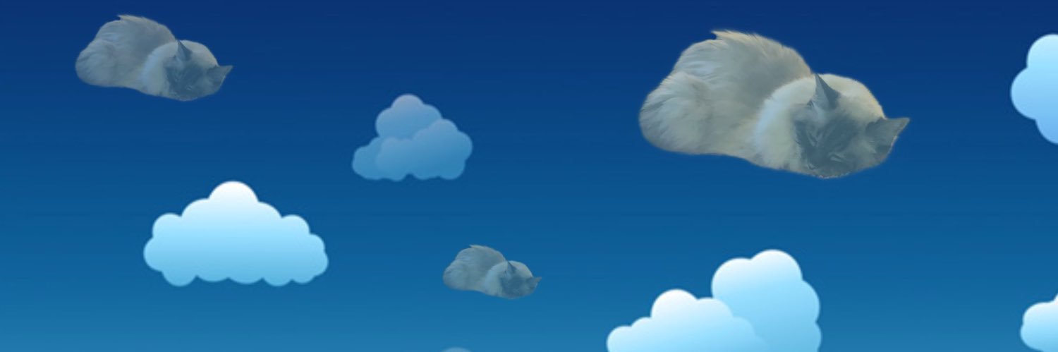 Pamcake 🌈 Misty Mia 🩷 banner