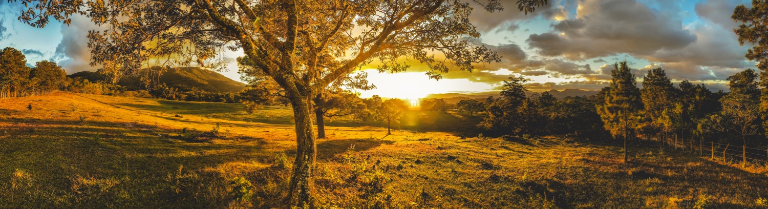 Estuardo Iten banner
