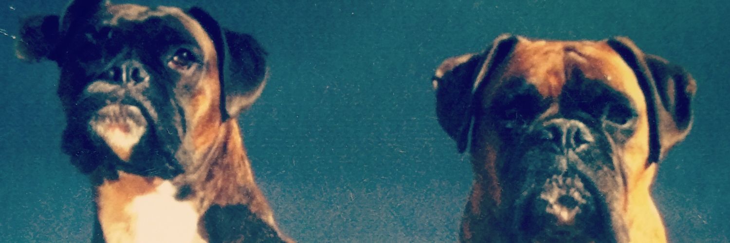 coosh83's profile banner image