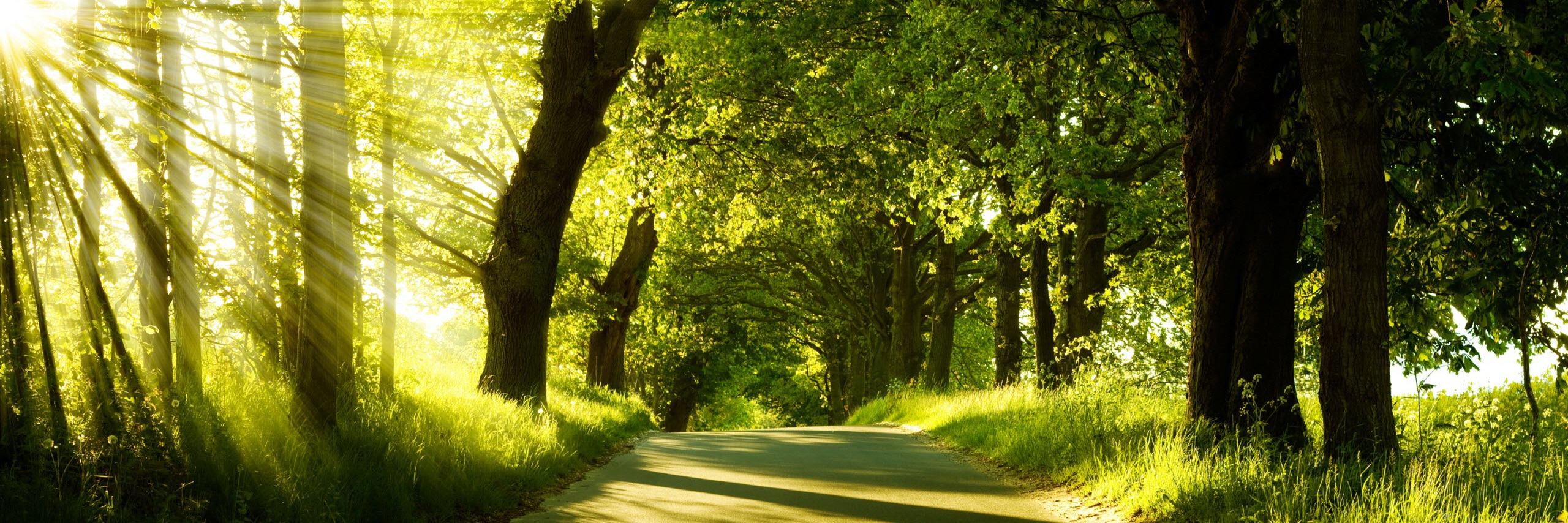 Ena Chakravorty banner