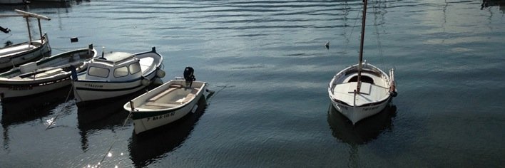 Napi humorista banner