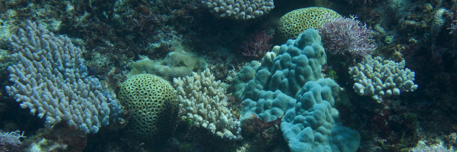 Island Evolution Lab banner