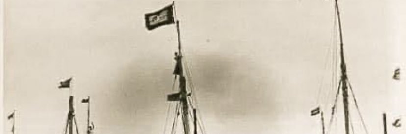 Mohamed Shaiman Adam Saleem banner