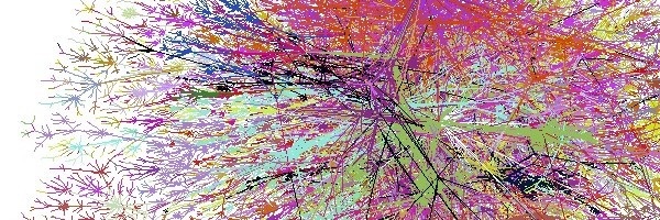 cgalvanf Profile Banner