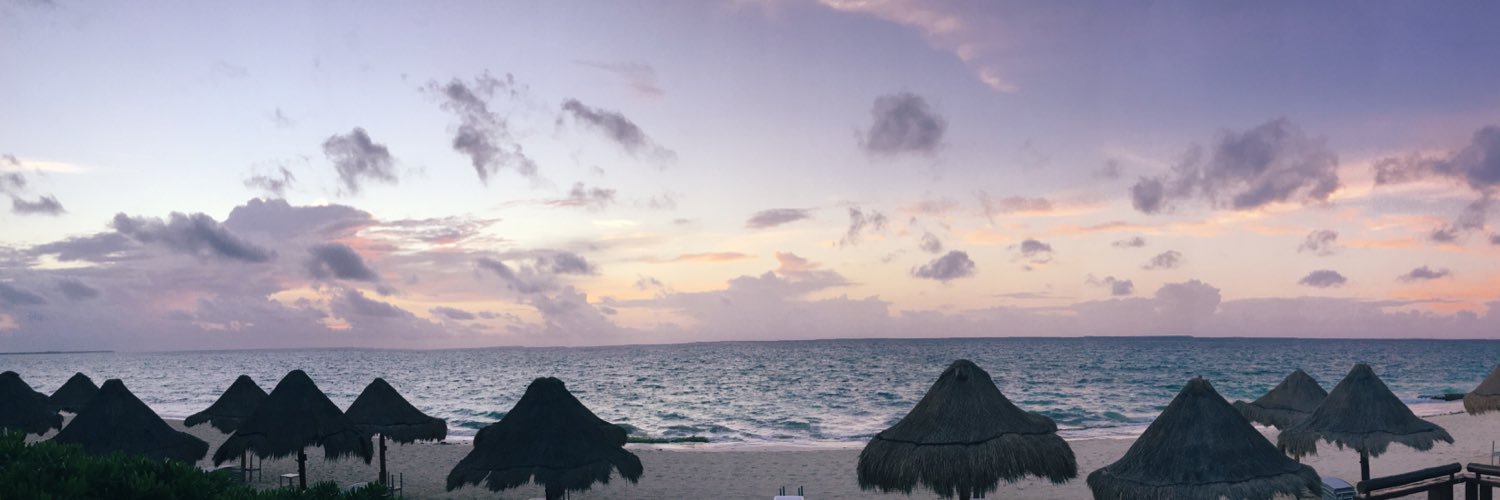 carolinefurrer's profile banner image