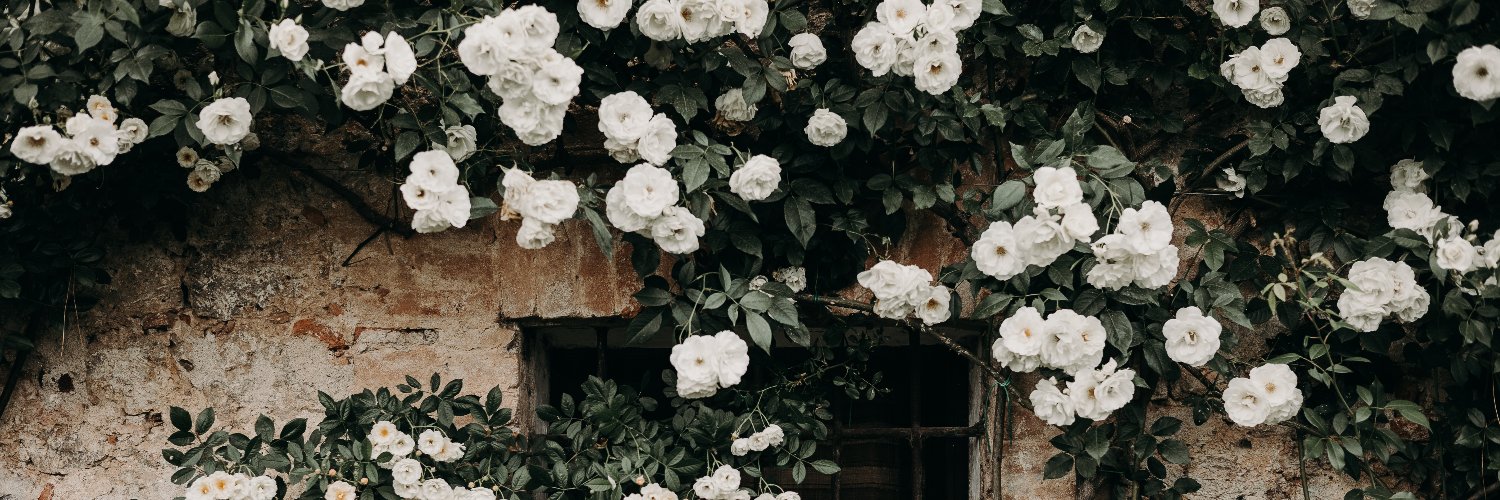 tiffanyassman's profile banner image