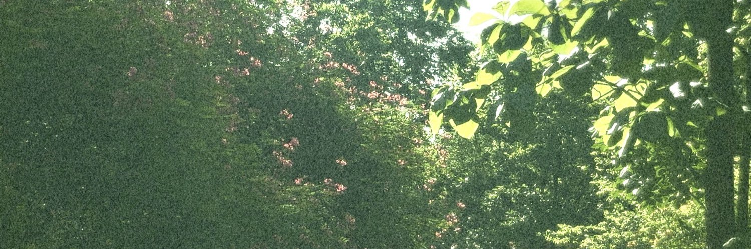 idyllicgurl⋆. 𐙚 ˚ banner
