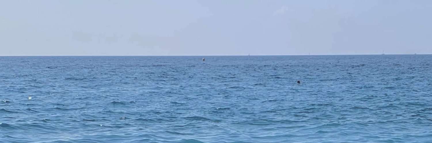 mathildeLKH's profile banner image