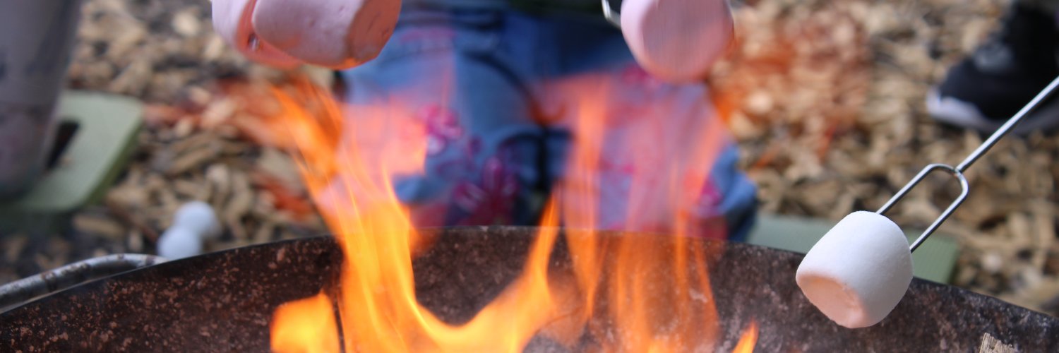 Sarah Watkins FCCT banner