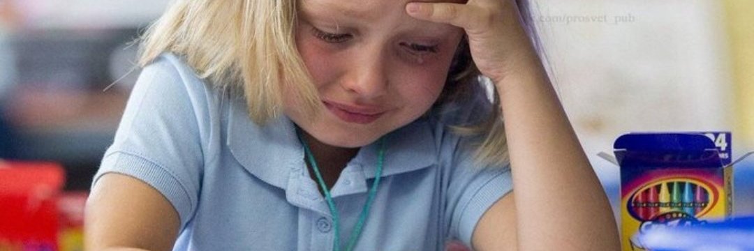 Magi || Vgen Waitlist CLOSED! banner