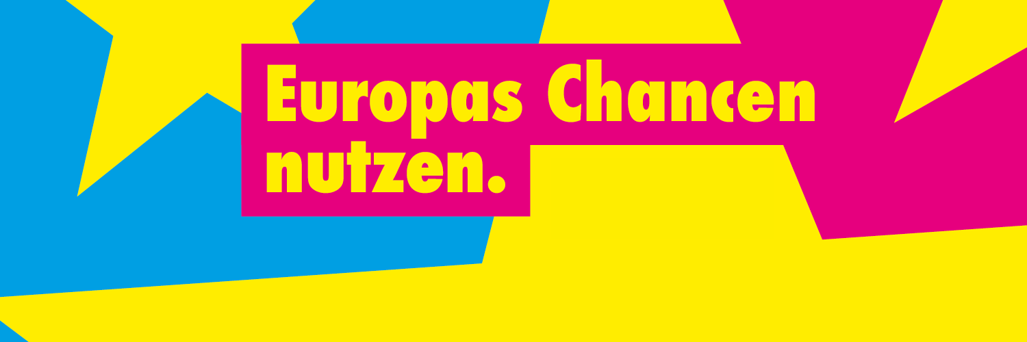 FDP_Koblenz's profile banner image