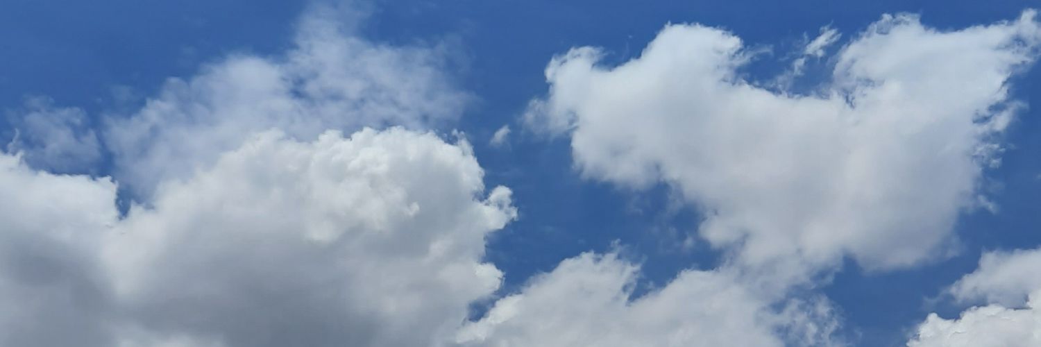 sebenernyabaik's profile banner image