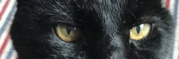 LordFoxx75 Profile Banner