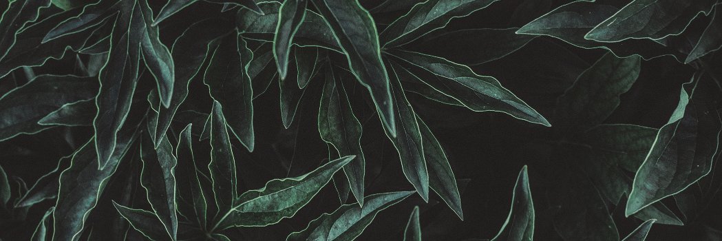 FRDESIGN banner