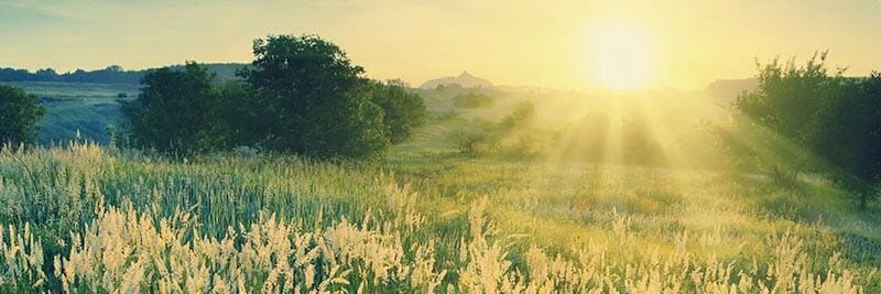 Chrisbrodber's profile banner image