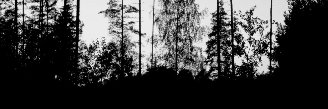 Pajadicto ✊💦 banner