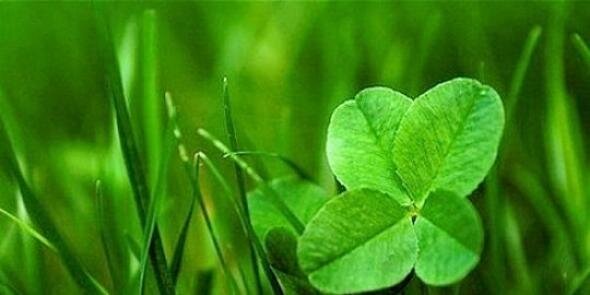 melie456's profile banner image