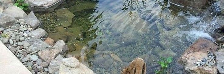 nellyau's profile banner image