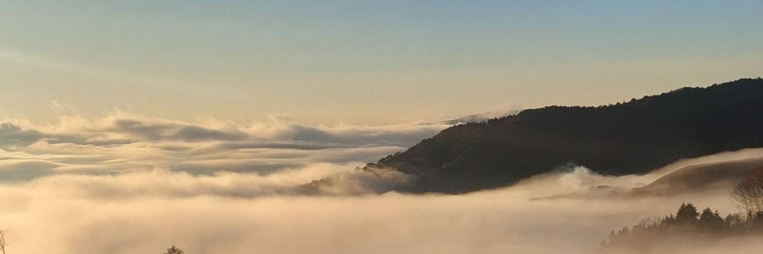 Omochi140's profile banner image