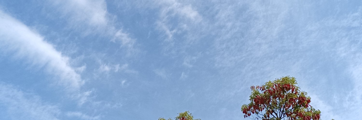 ChenJuty's profile banner image