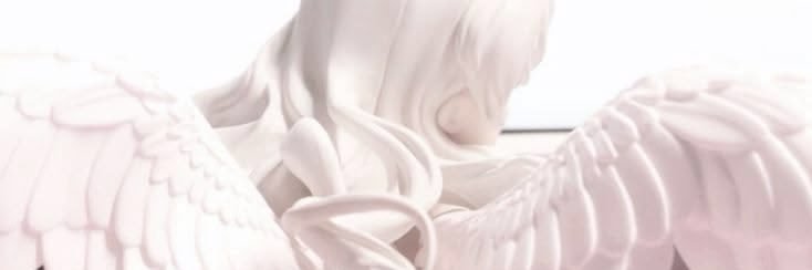 seal_sicle's profile banner image