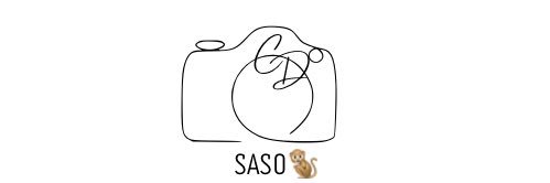🐒📸Photographer banner
