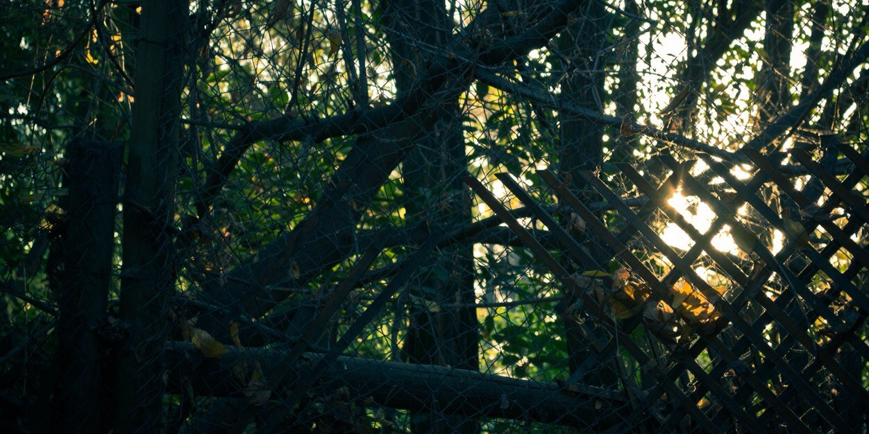 Jonypepenacho's profile banner image