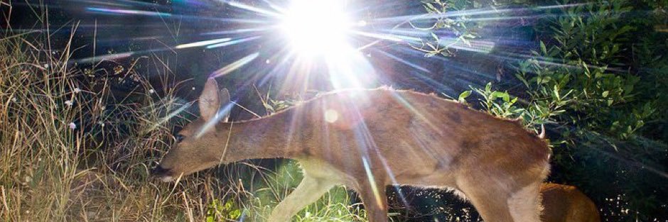 philgway's profile banner image