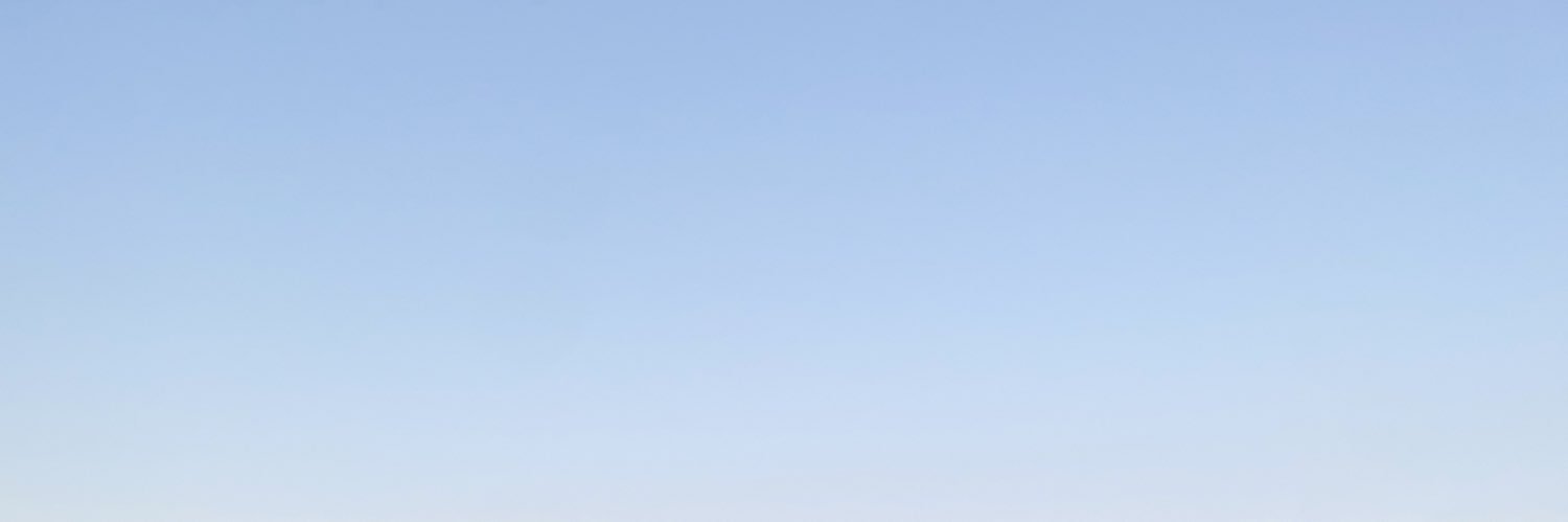 catarina banner