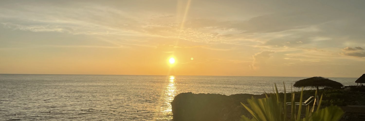 FrancesAnyon's profile banner image
