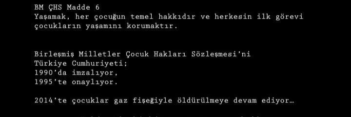 Didem Ünsür banner