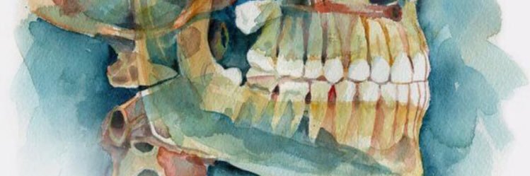 alepsinho's profile banner image