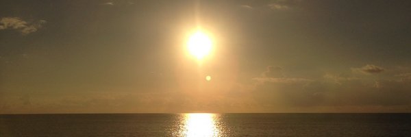 evieold Profile Banner