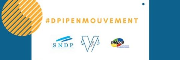 undpip Profile Banner