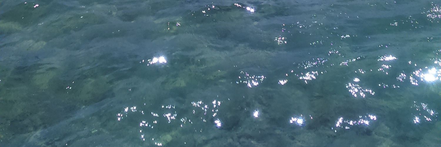 IvoSperanda's profile banner image