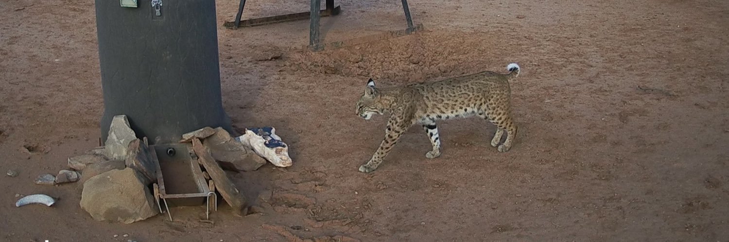 Jackalope-Hunter banner