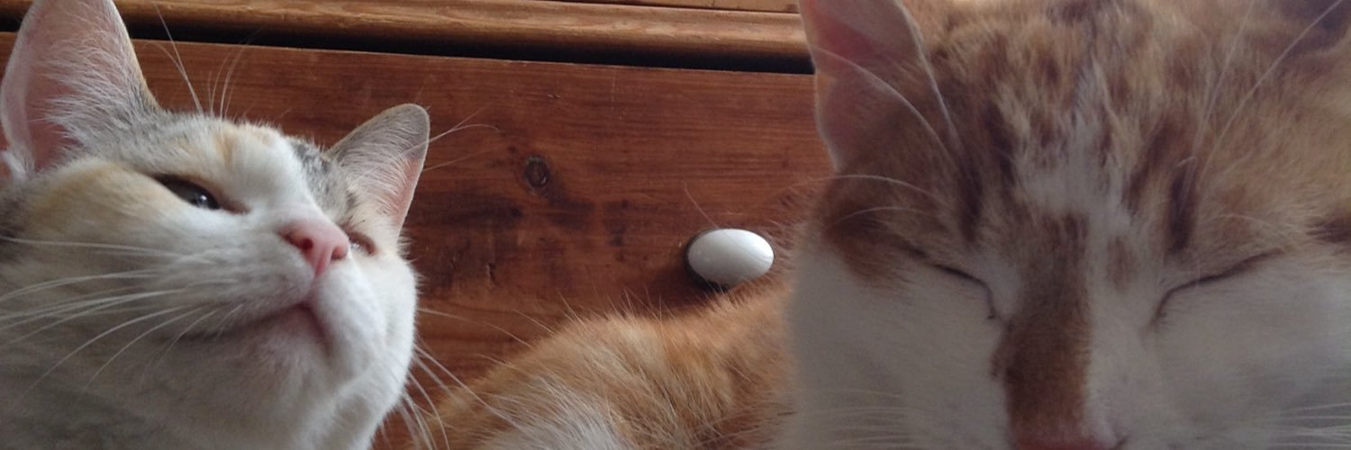 marieclair_a's profile banner image
