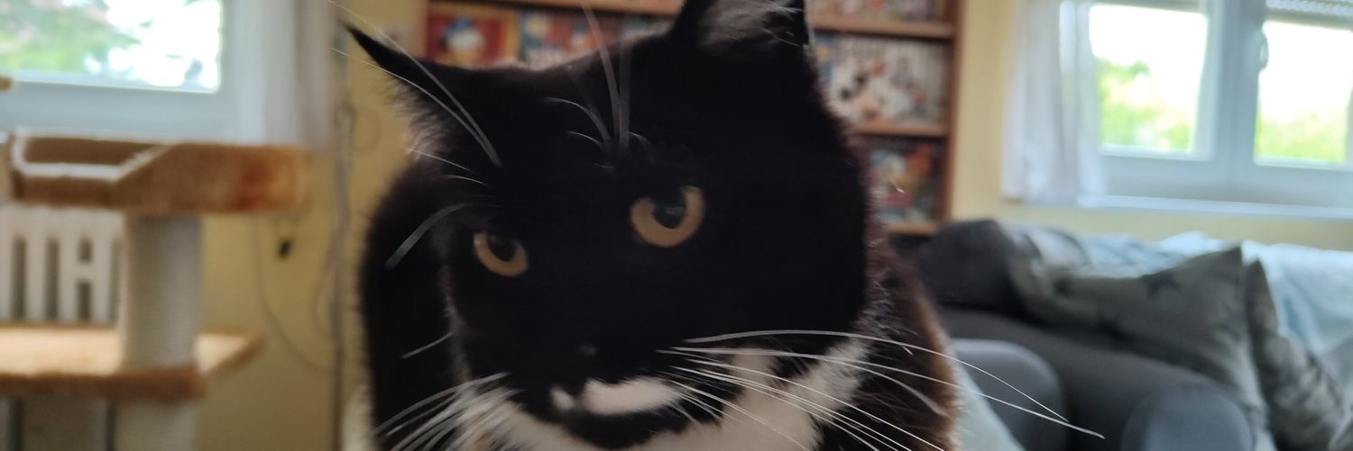 WaschBaer__'s profile banner image