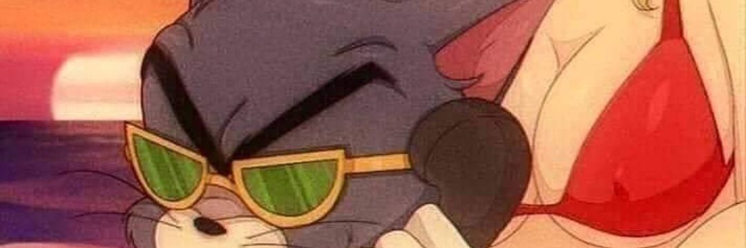 dotado novinho banner