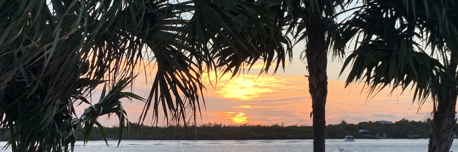 Dianna  Goolsby banner