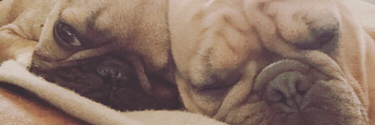 rachbeatty's profile banner image