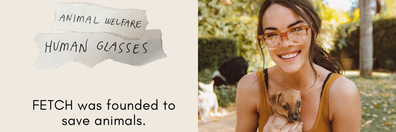 Fetch Eyewear banner