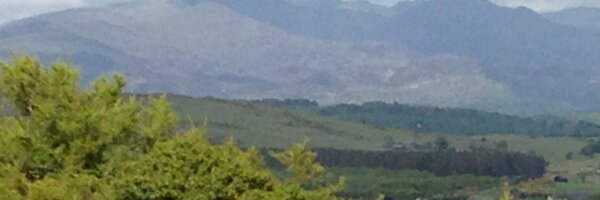 iwanwroberts Profile Banner