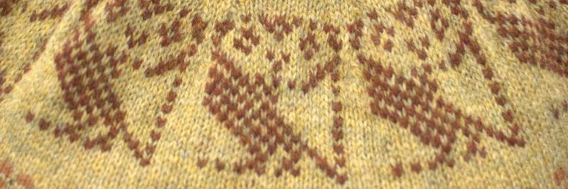 Polly McEldowney banner